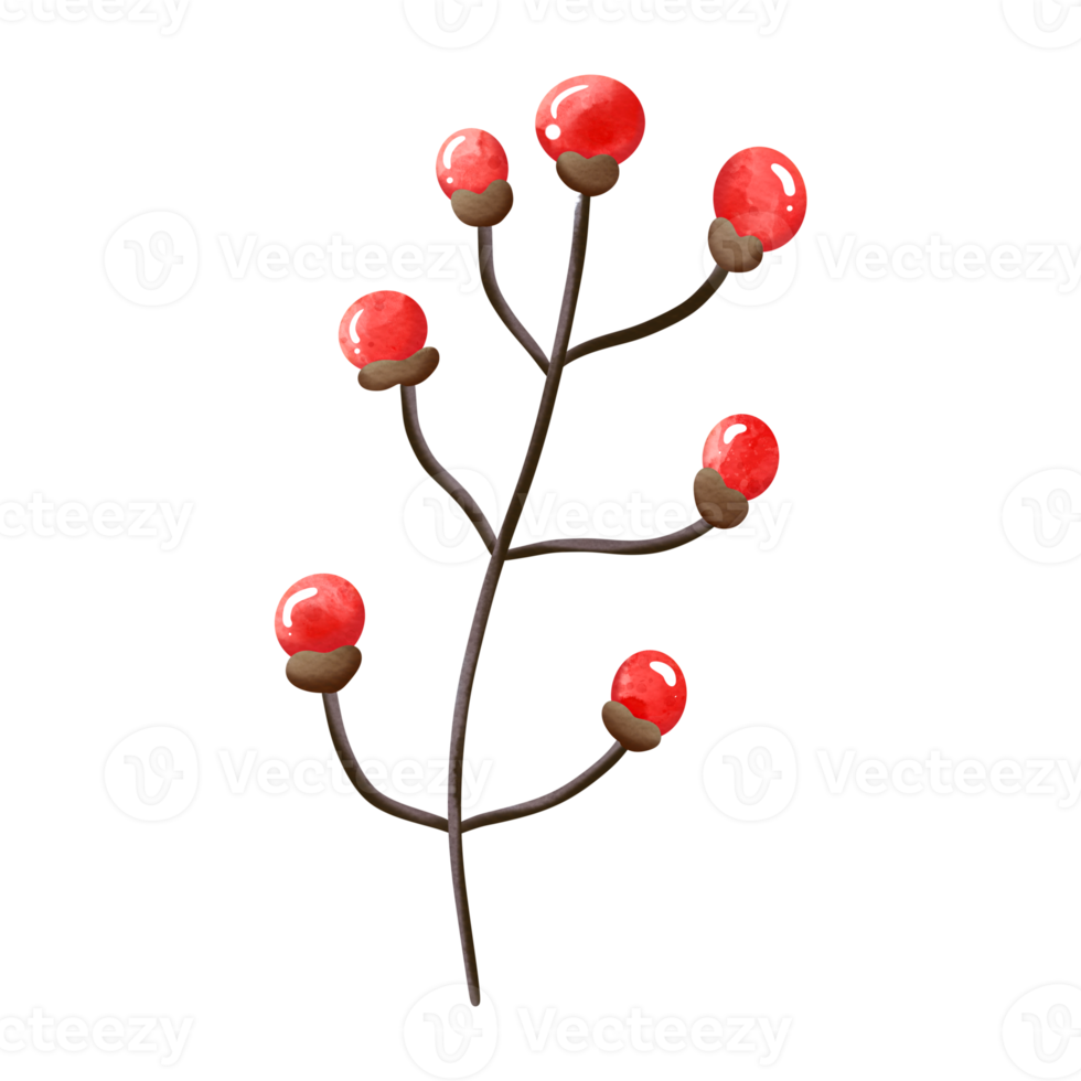 autunno acquerello agrifoglio frutti di bosco, autunno o autunno animale, acquerello illustrazione png