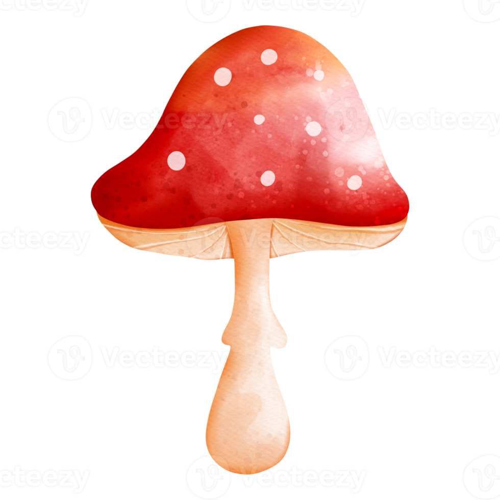 Autumn Watercolor mushroom, Autumn or Fall Animal, Watercolor illustration png