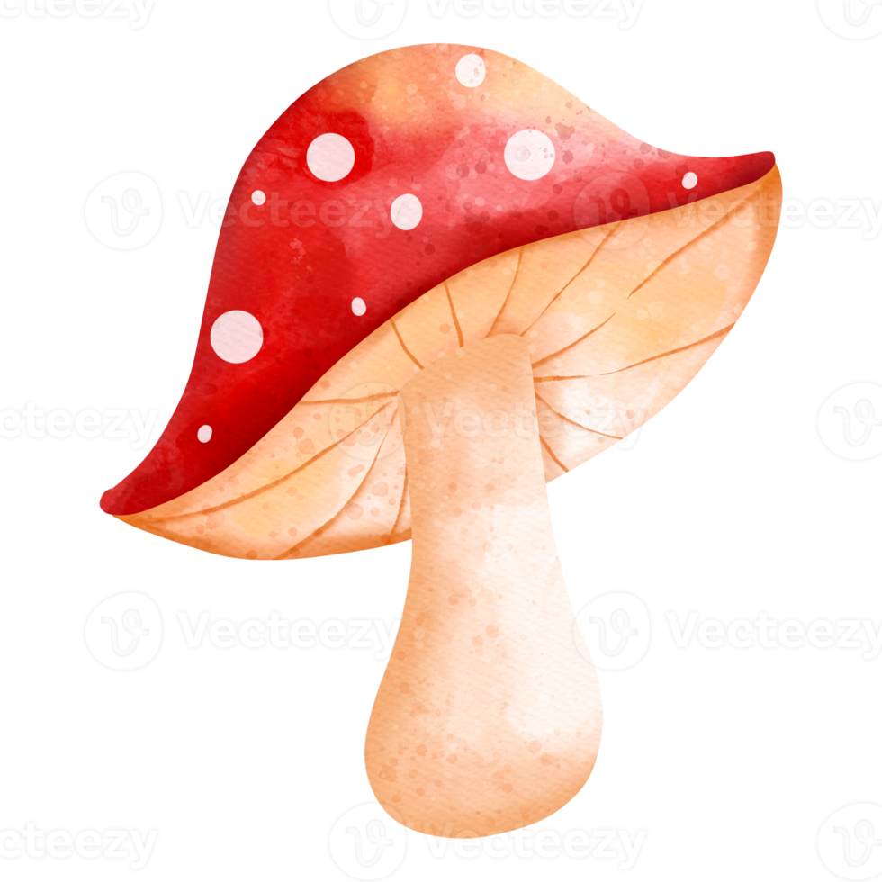 Autumn Watercolor mushroom, Autumn or Fall Animal, Watercolor illustration png