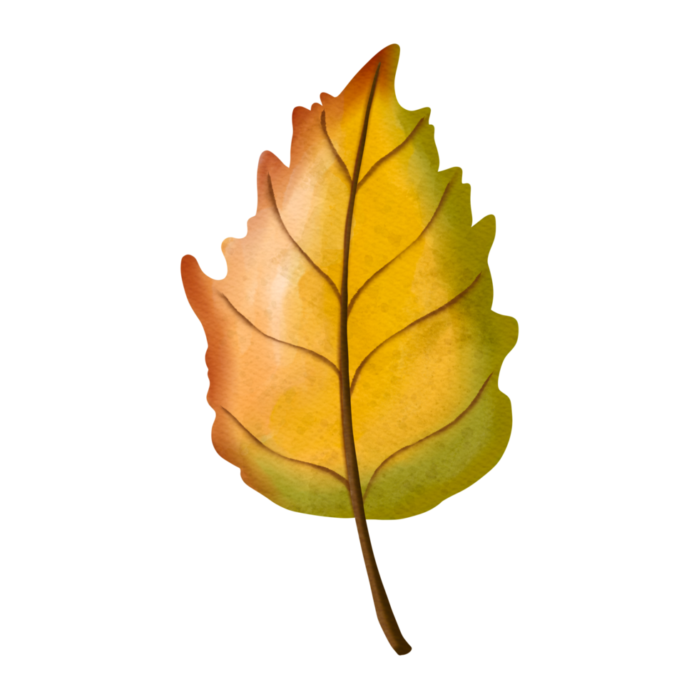 Autumn Watercolor Apple leaves, Autumn or Fall Animal, Watercolor illustration png