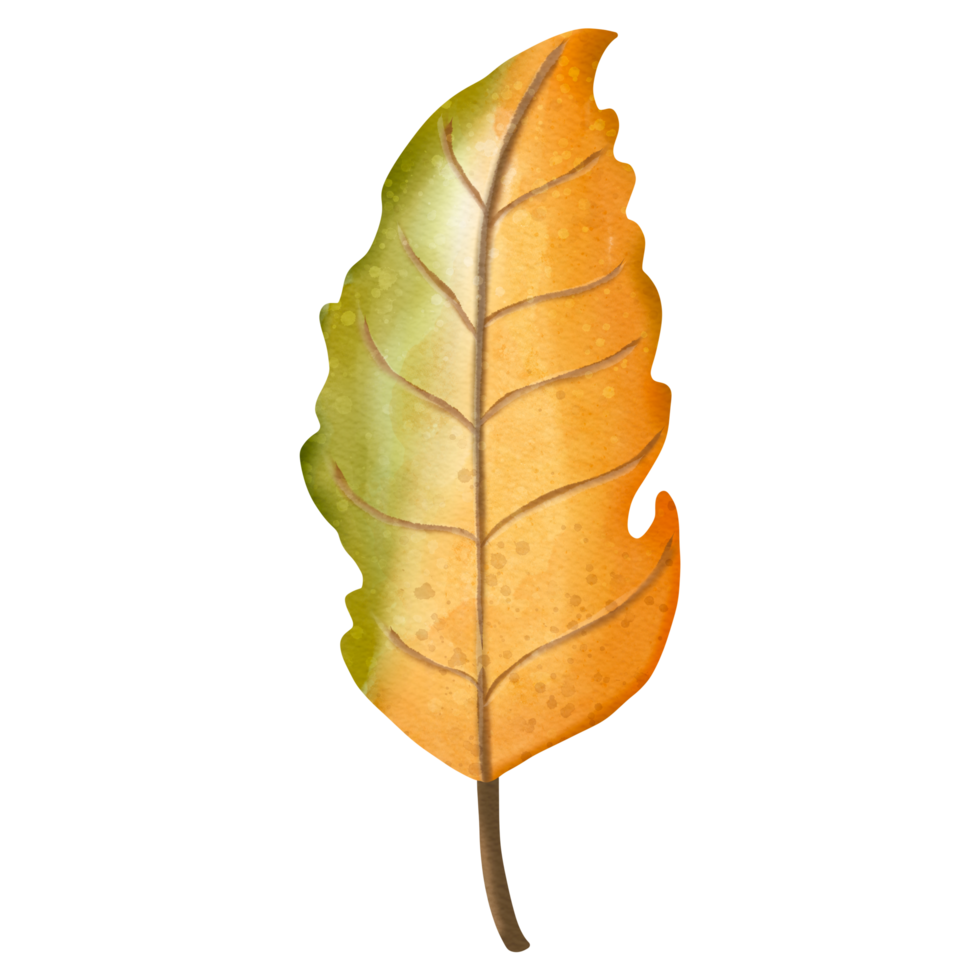 höst vattenfärg äpple löv, höst eller falla djur, vattenfärg illustration png