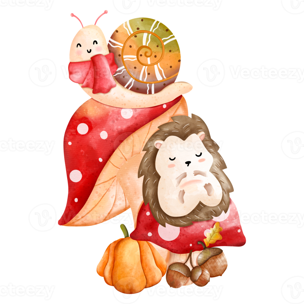 niedliches weihnachtsaquarellstachelschwein und schnecke, herbst oder falltier, aquarellillustration png