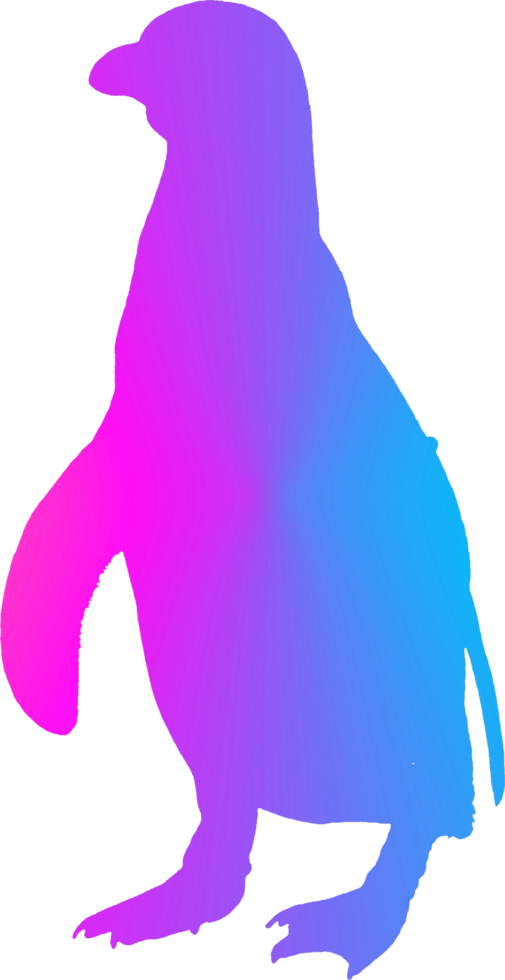 Penguin Standing Illustration art multicolor gradient png