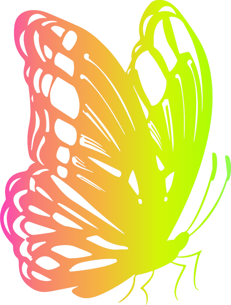 Ilustration art butterfly multicolor gradient png