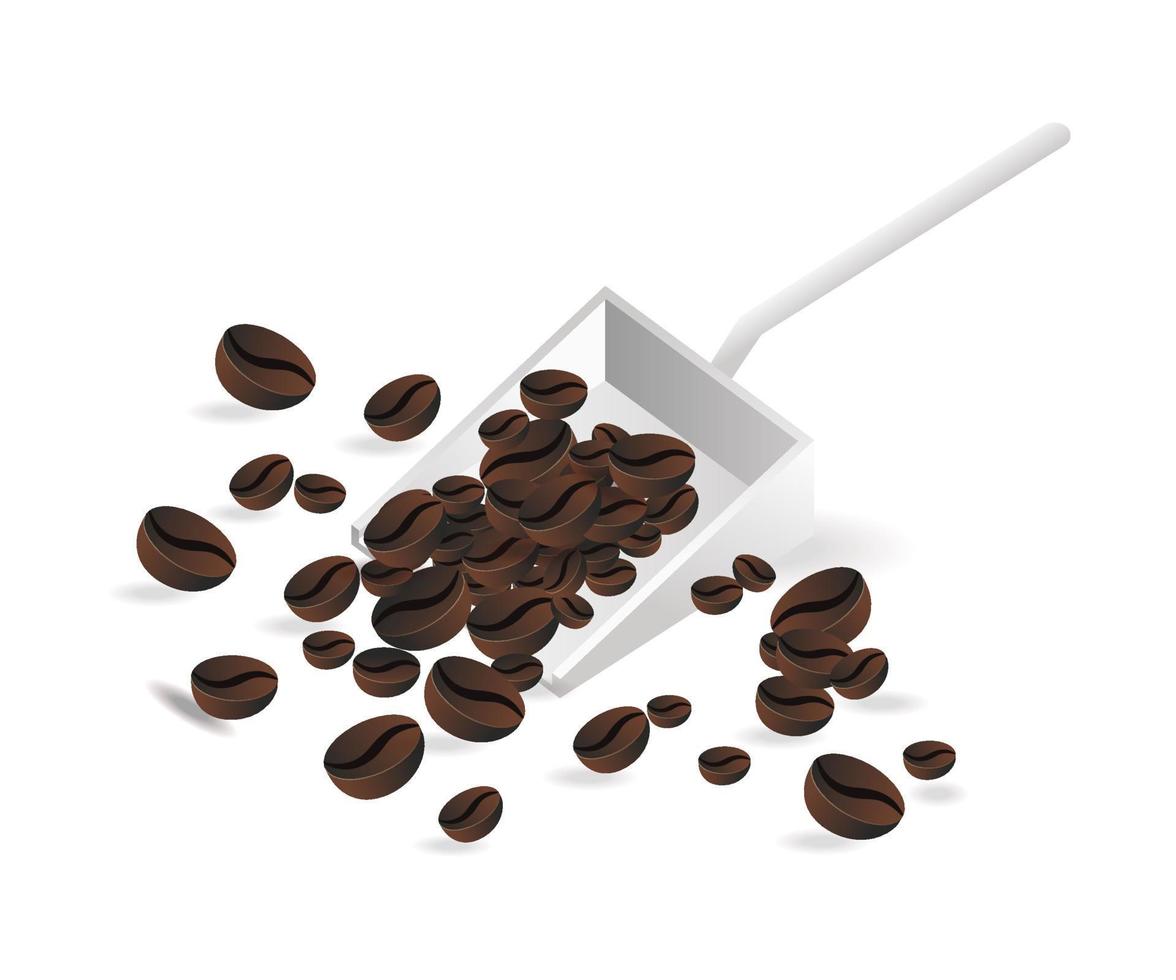 Selected coffee beans vector