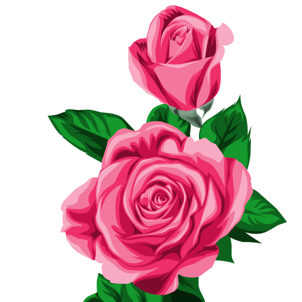 Free flor rosa vermelha 12446726 PNG with Transparent Background