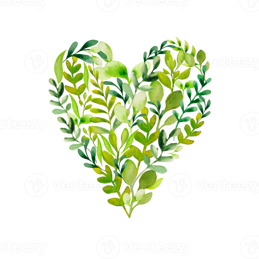 coração de vegetação em aquarela png