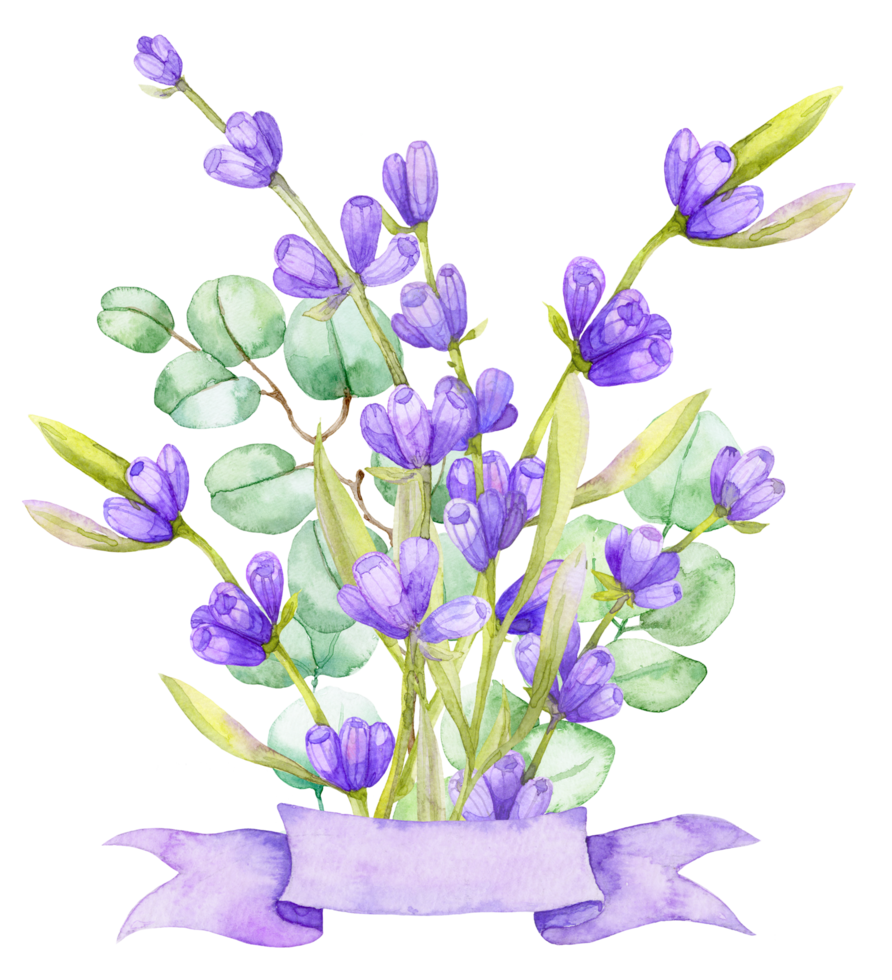 un ramo de hojas de eucalipto verde y lavanda lila. ilustración acuarela rama de eucalipto dibujada a mano con flores de lavanda png