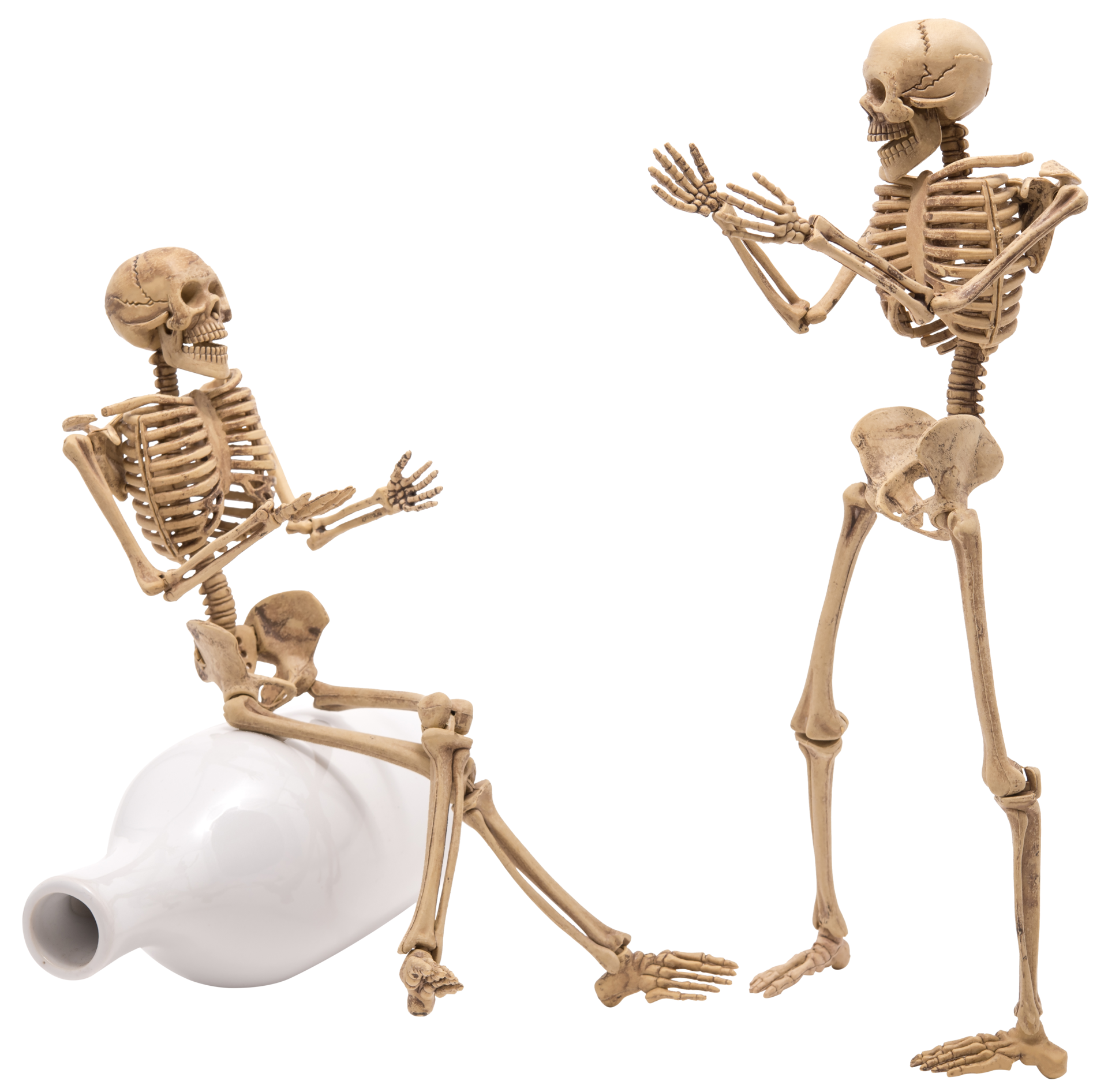 Free Human skeleton as people talking isolated 12447600 PNG with Transparent Background Free Human skeleton as people talking isolated 12447600 PNG with Transparent Background