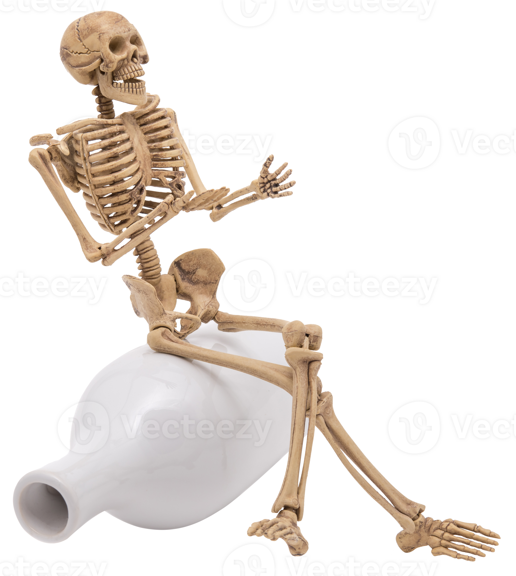 Human skeleton sit on bottle isolated 12447601 PNG
