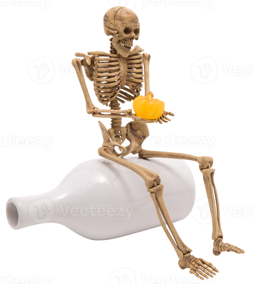 Human skeleton sit on bottle isolated png