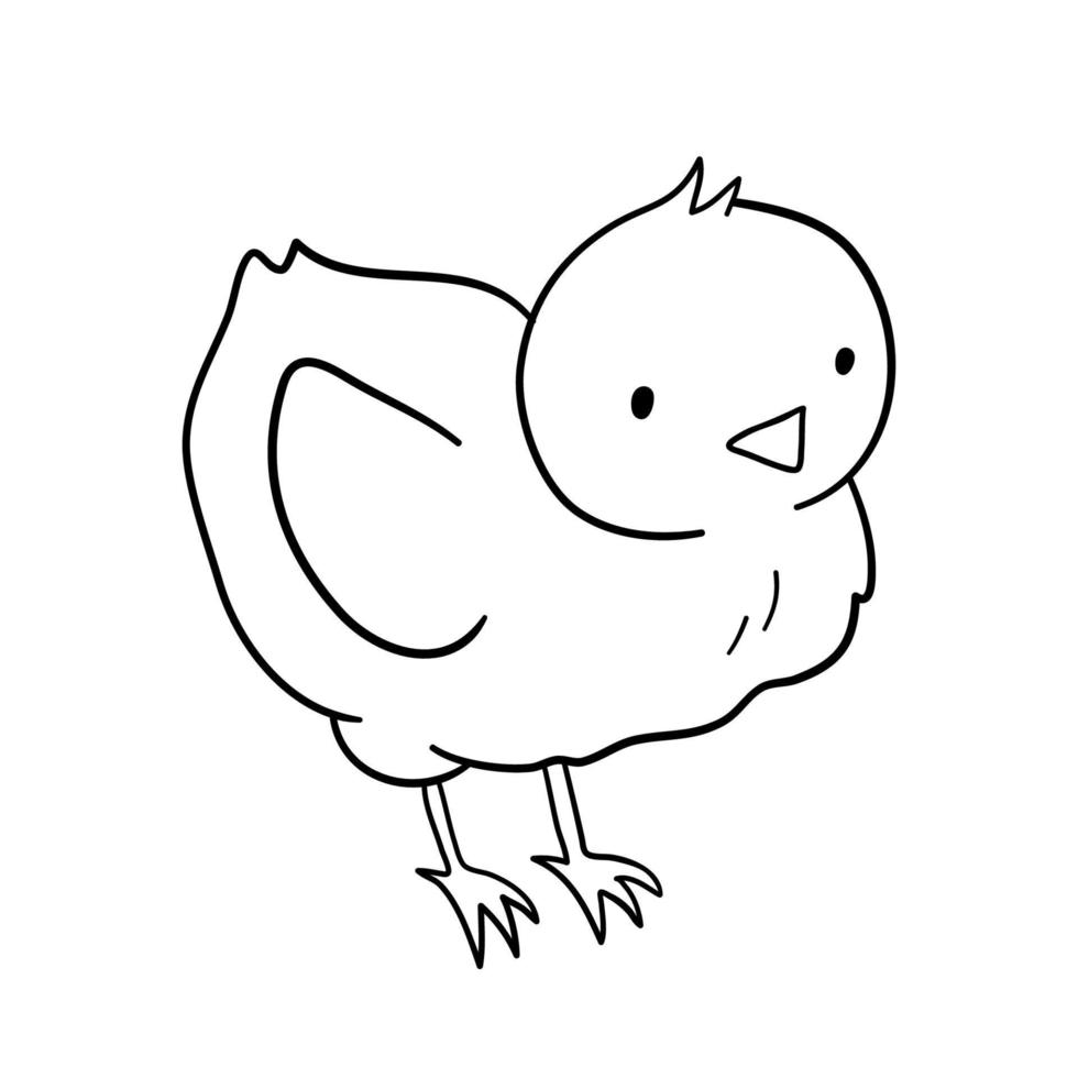 lindo personaje de pollito de contorno de pascua aislado sobre fondo blanco. ilustración de línea de vector de bebé con pájaro de granja para colorear libro