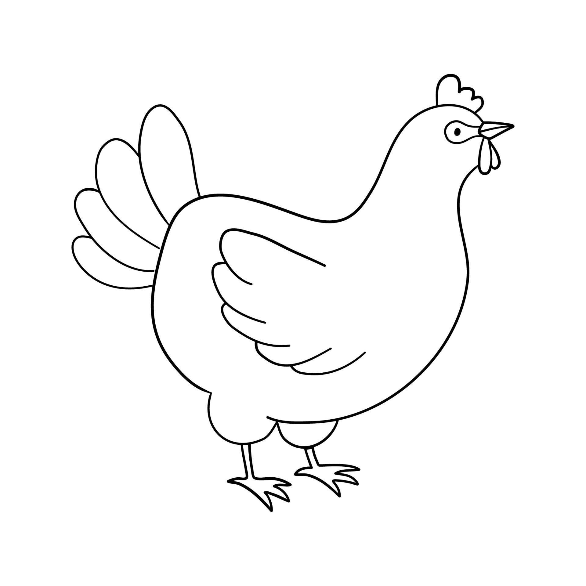 Cute line chicken. Vector outline illustration isolated on white
