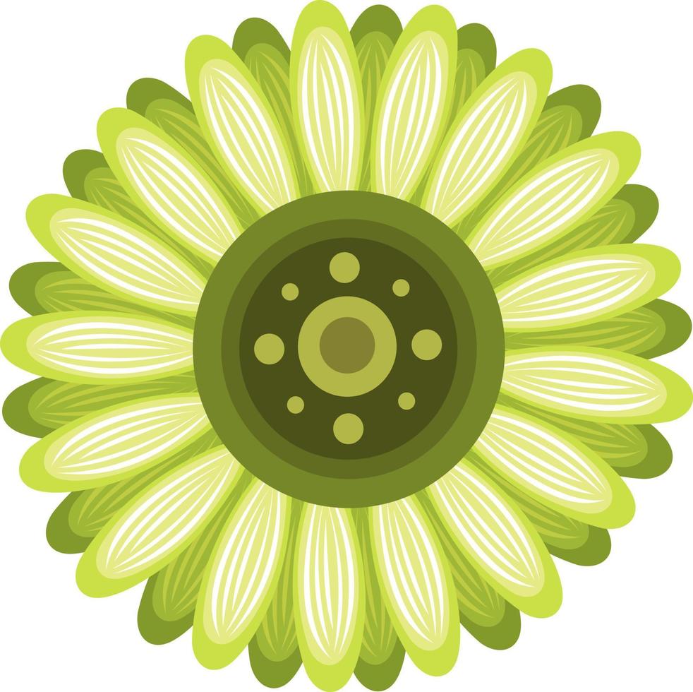 Green daisy flower vector illustration for graphic design and decorative element