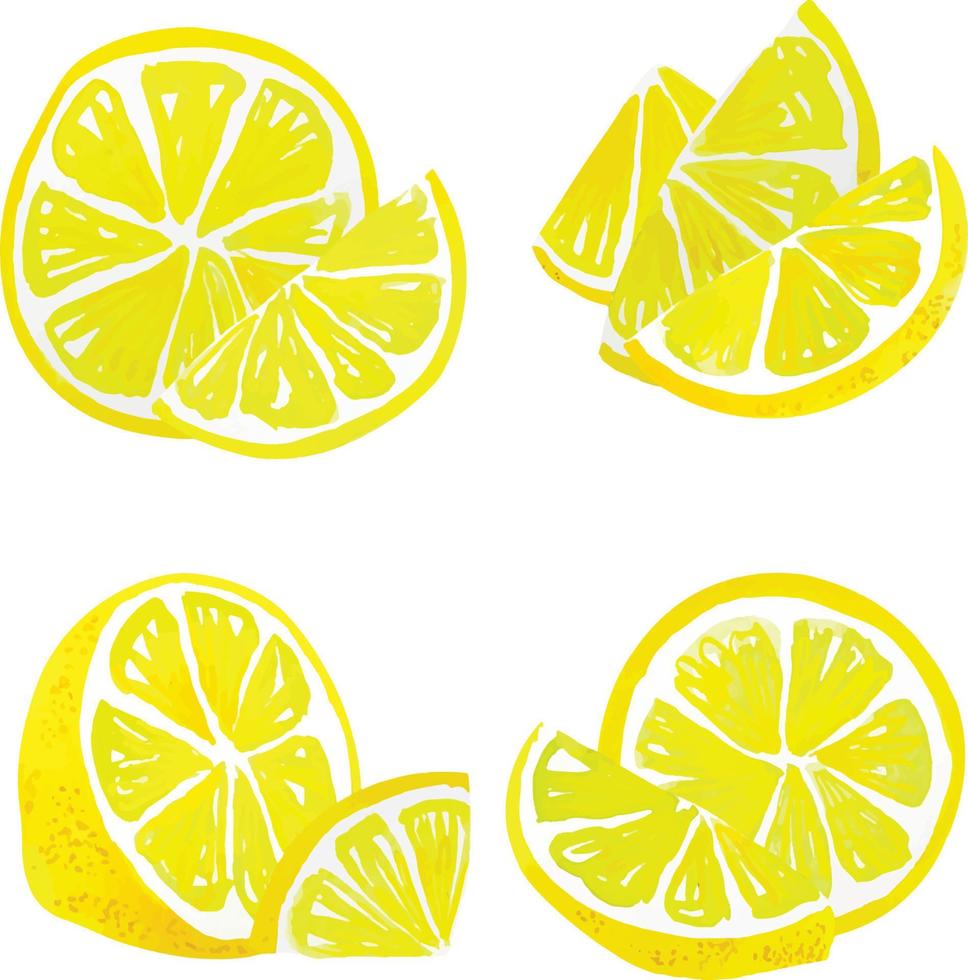 rodajas de limón acuarela vector