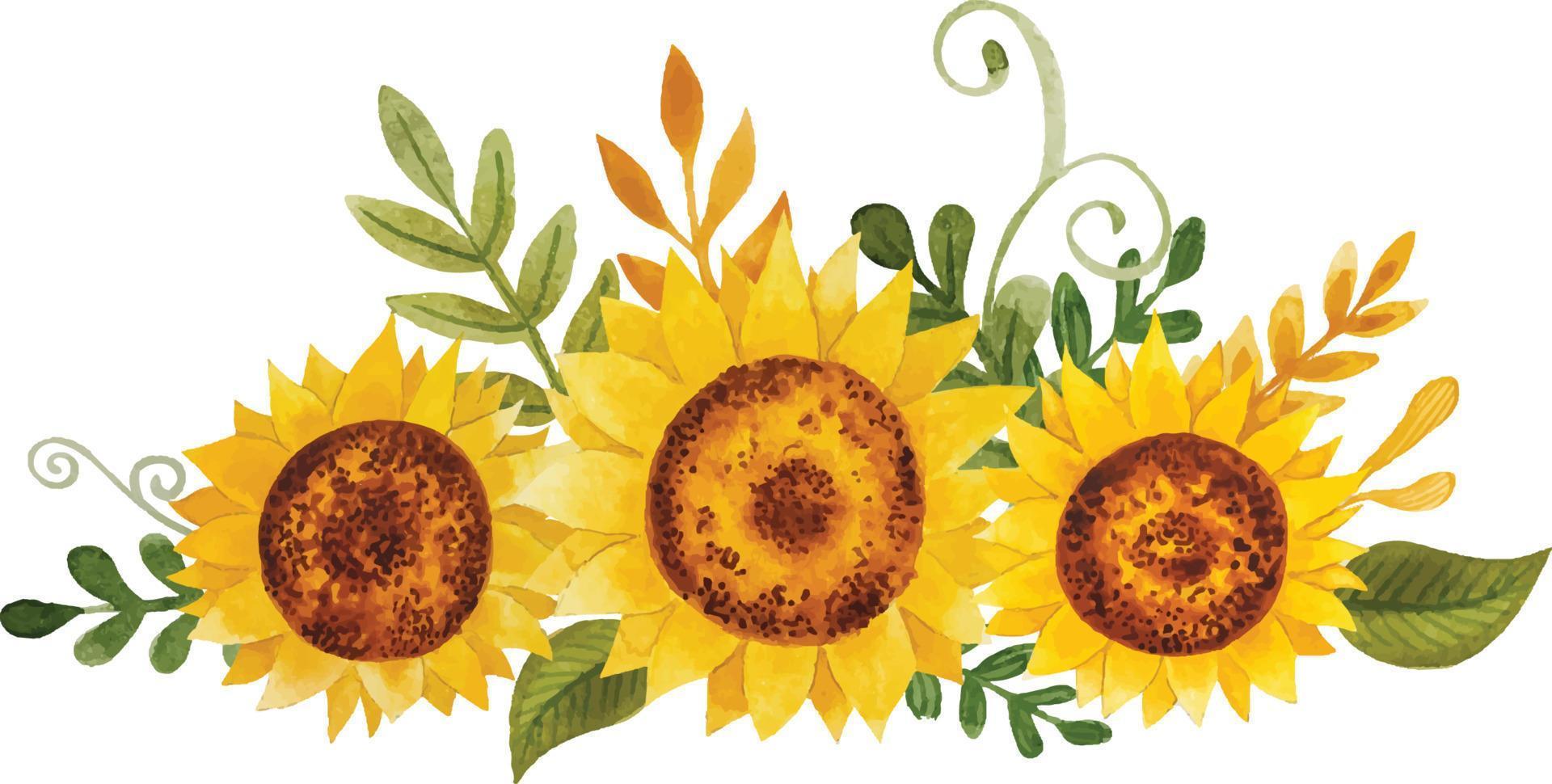 Watercolor sunflowers bouquet vector