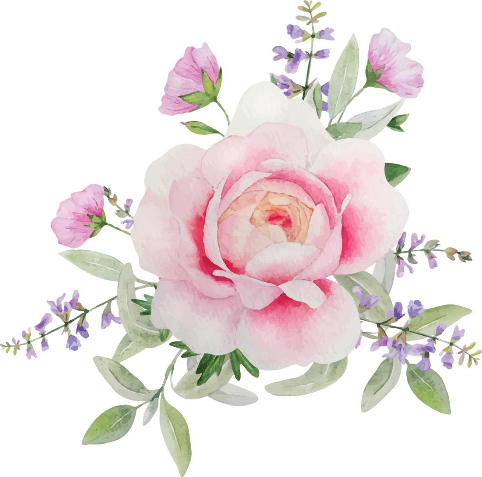 acuarela delicada composición con rosas silvestres y hierbas vector