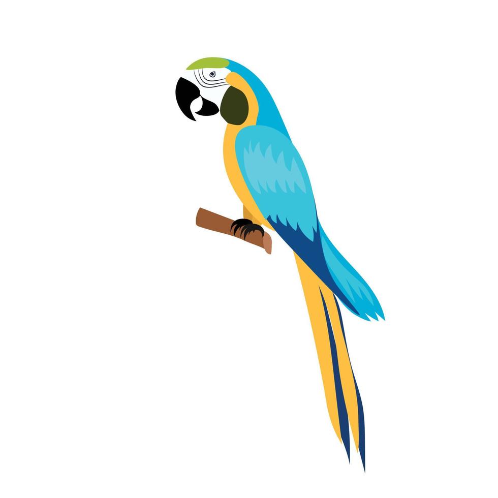 Blue and yellow Macaw sitting on the branch in front. Brazil parrot. Bird for carnival. Parrot bird as friend pirates. Vector illustration