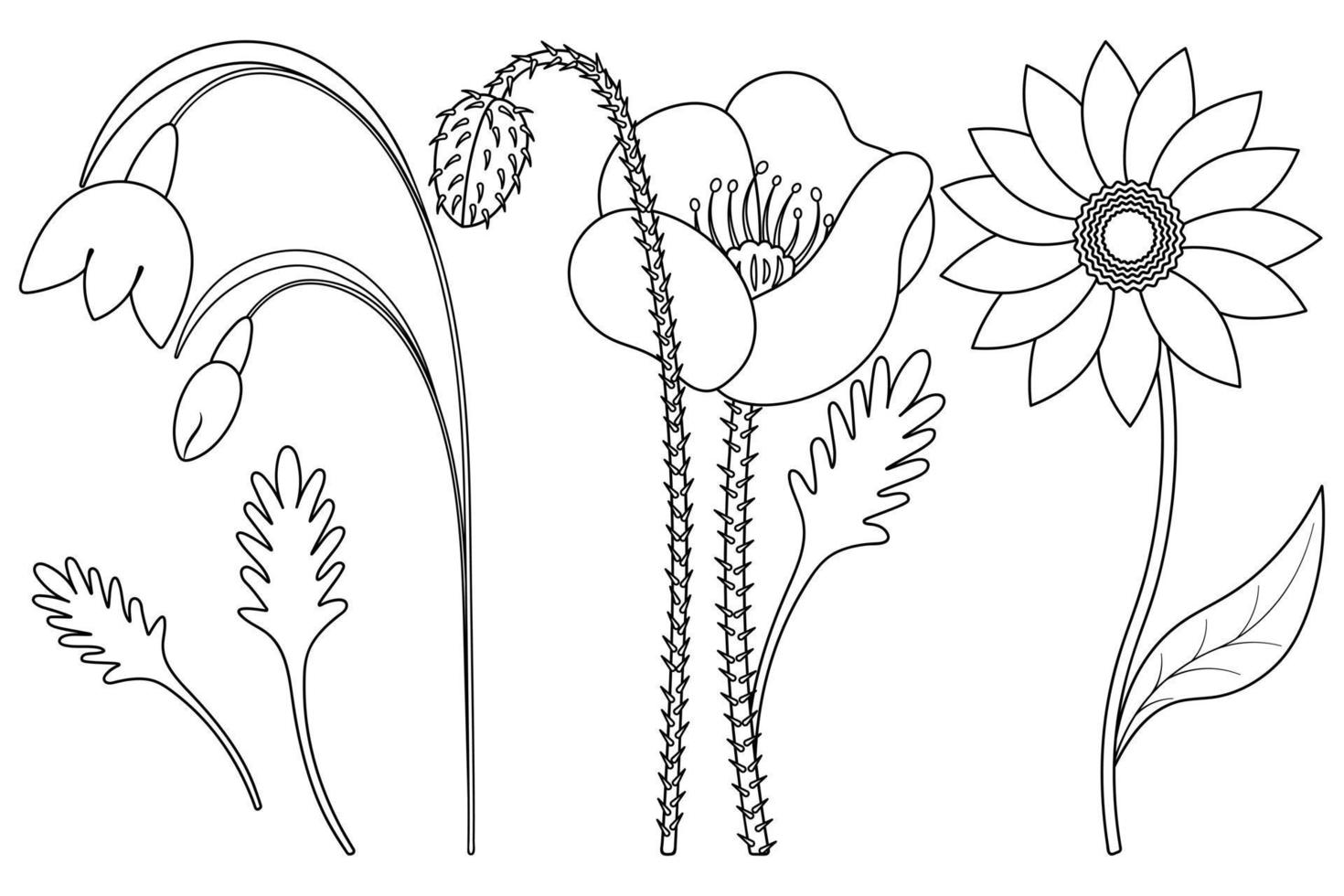 Flowers. Sketch. Set of vector illustrations. Snowdrop, poppy, gerbera. Delicate plants with leaves. Flowering plants. Coloring book for children. Doodle style. Outlines on an isolated background.