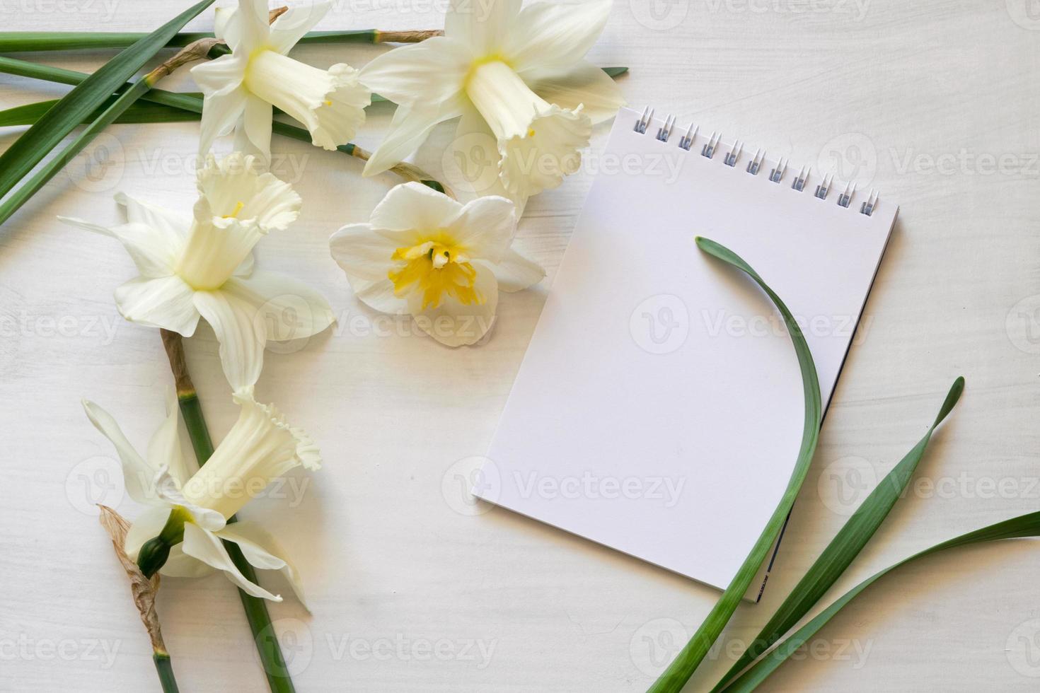 Notepad, daffodils on a white background. Inspirational workplace. photo