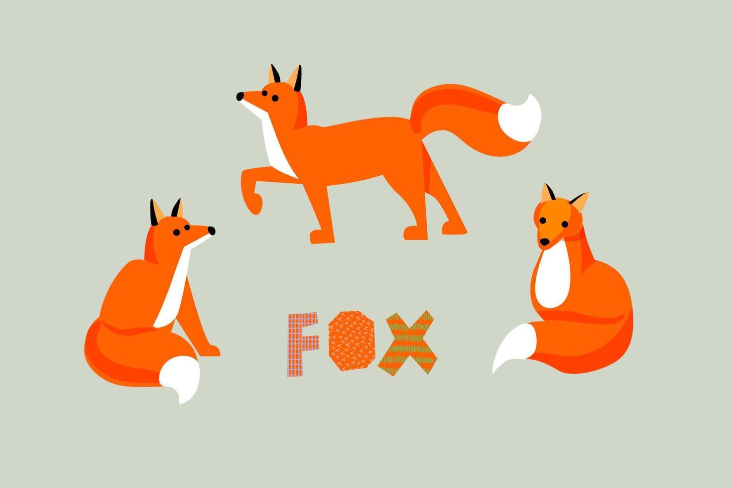 Set of cute cartoon foxes in narrow simple flat style. Isolated math illustration vector