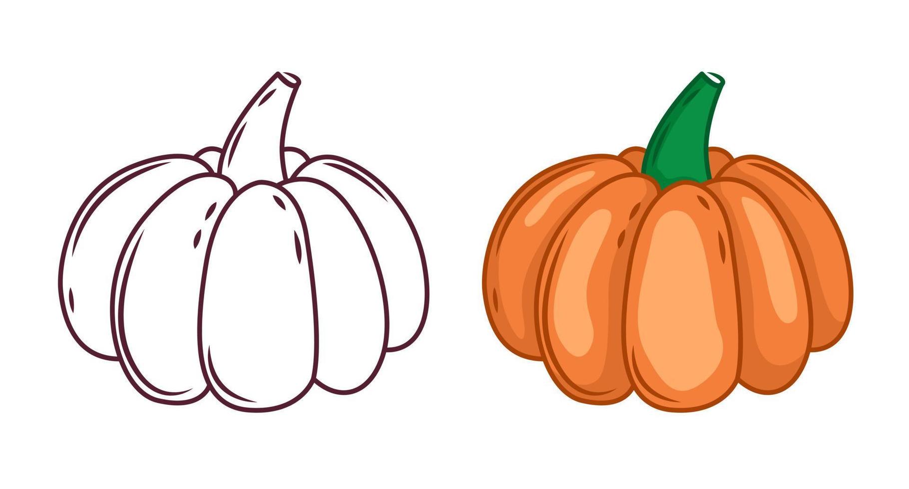 los íconos de calabaza están coloreados y contorneados en blanco y negro. calabaza de halloween, para plotter y colorear. ilustración vectorial vector