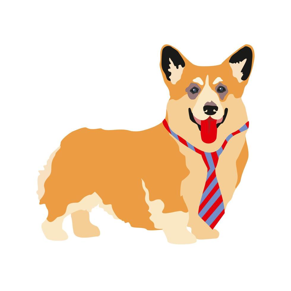 Vector cartoon illustration of a corgi dog. A cute friendly Welsh corgi puppy stands in a tie, smiling, sticking out his tongue, isolated on a white background. Pets, animals, dog-themed