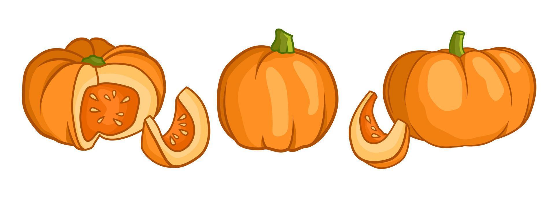 conjunto de iconos planos de calabaza. kit de letreros de halloween. colección de pictogramas de acción de gracias cosecha agrícola, calabaza de primer plano, verdura. simple calabaza dibujos animados colorido icono símbolo aislado blanco vector