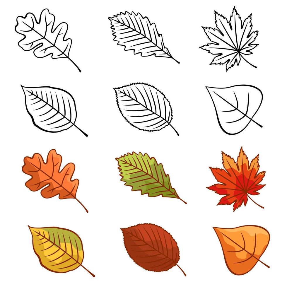 Icons of autumn leaves or autumn foliage. Vector isolated set of maple, oak or birch and rowan leaves. Falling autumn leaves of poplar, beech or elm and aspen, berries and chestnuts for the designer