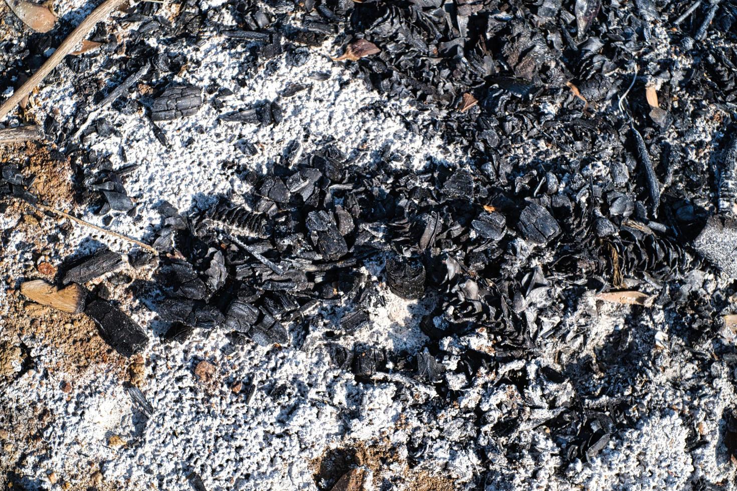 texture of burnt embers in a vegetable garden during an autumn evening photo
