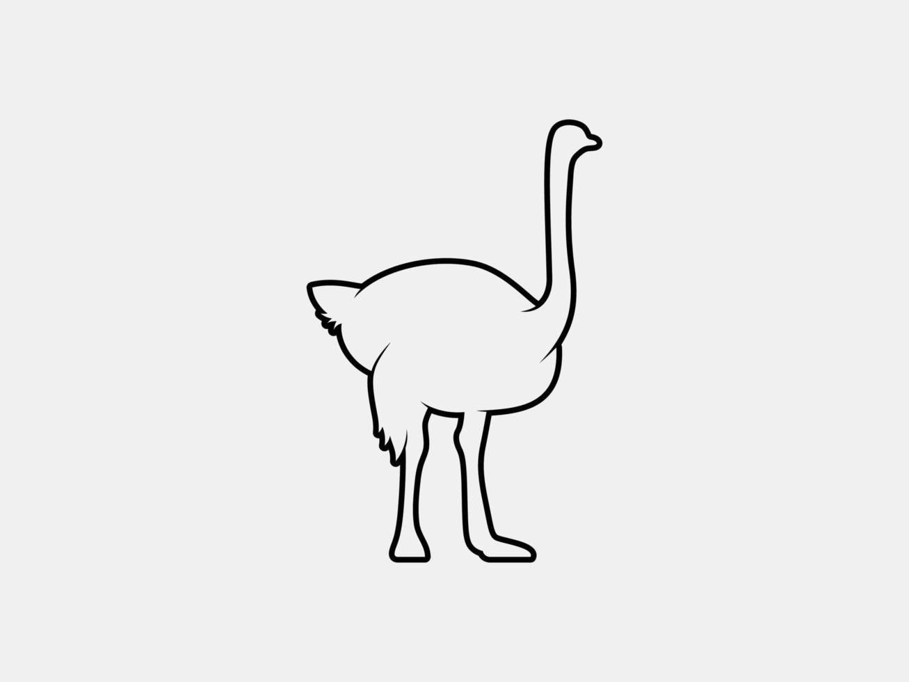 silueta de vector de contorno de avestruz