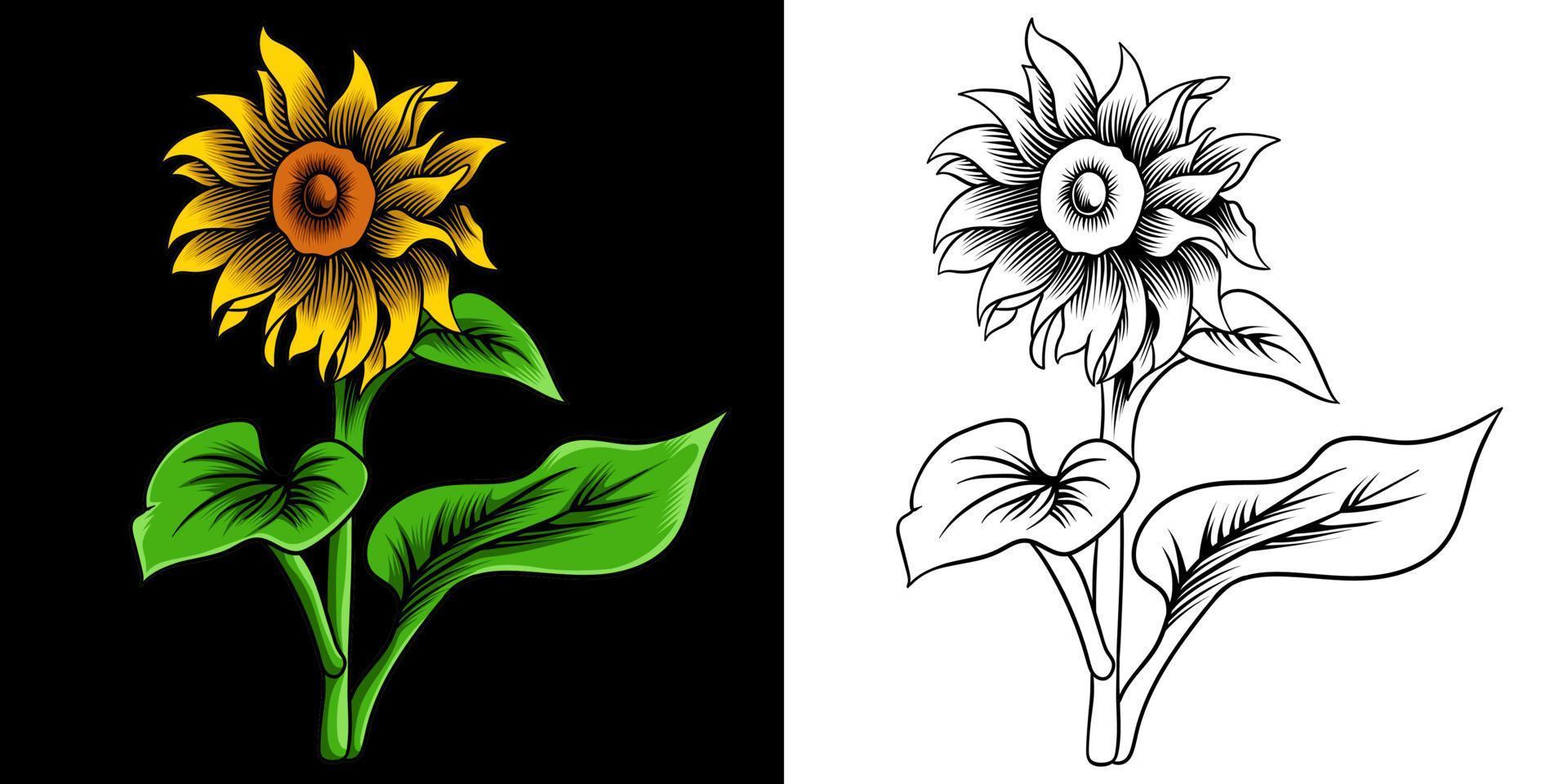 Yellow Sun Flower Vector Illustration