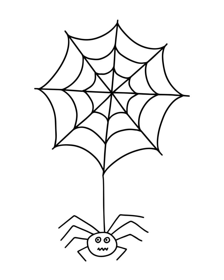 Spider weaves web vector doodle illustration. Hand drawn cute hanging on web spider isolated