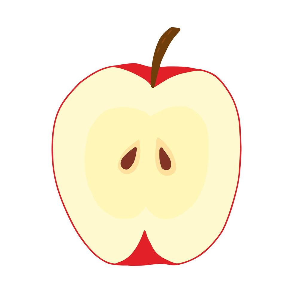 manzana roja en la ilustración de vector de sección. clipart de manzana dibujada a mano