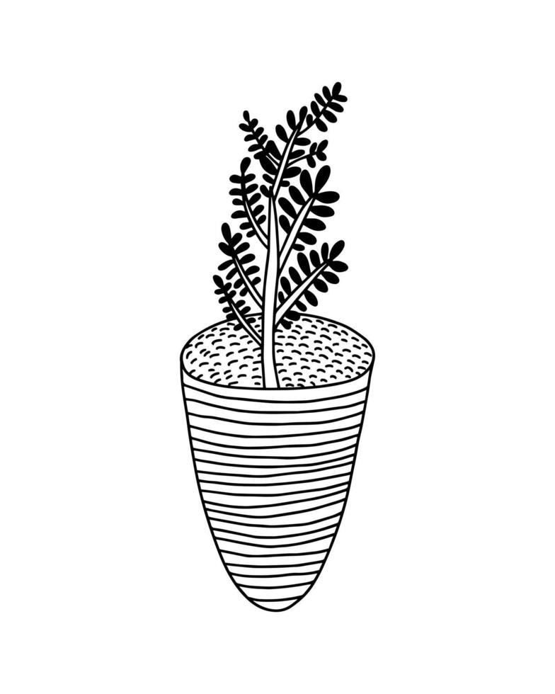 Vector doodle houseplant in pot illustration. Hand drawn plant in cute pot
