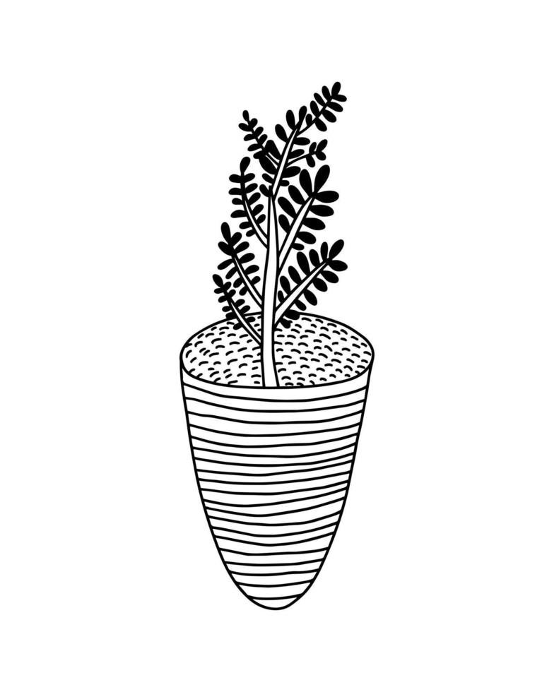 Vector doodle houseplant in pot illustration. Hand drawn plant in cute pot