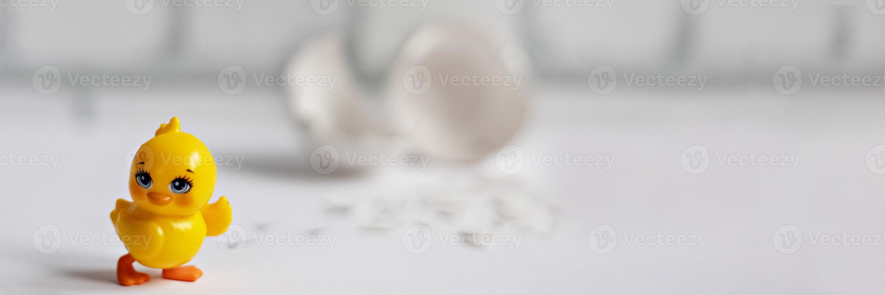 White egg shell of a broken chicken egg with fragments and a hatched chicken isolated. Easter.Banner photo