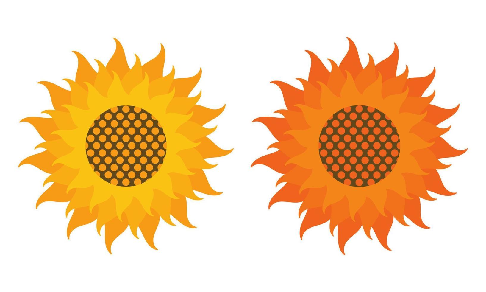 sunflowers in yellow and orange vector