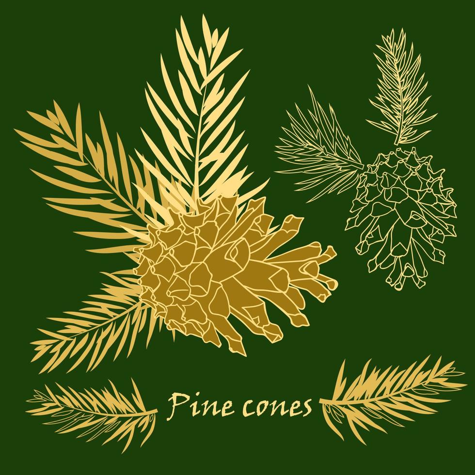 Fir tree branches with pine cone in golden color vector