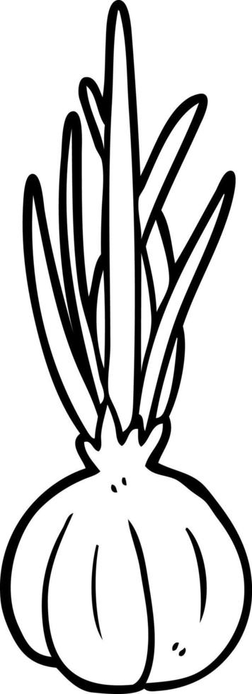 line drawing of a garlic bulb vector