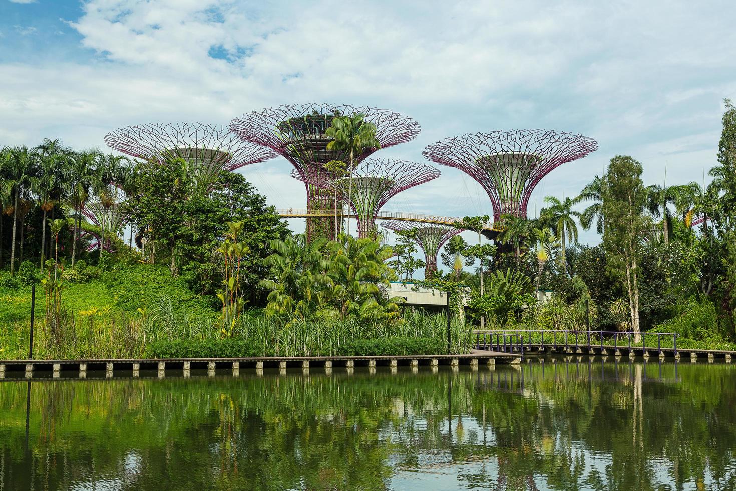 singapur, 12 de mayo, jardines junto a la bahía el 12 de marzo de 2014 en singapur. Gardens by the Bay fue coronado edificio mundial del año en el World Architecture Festival 2012 foto