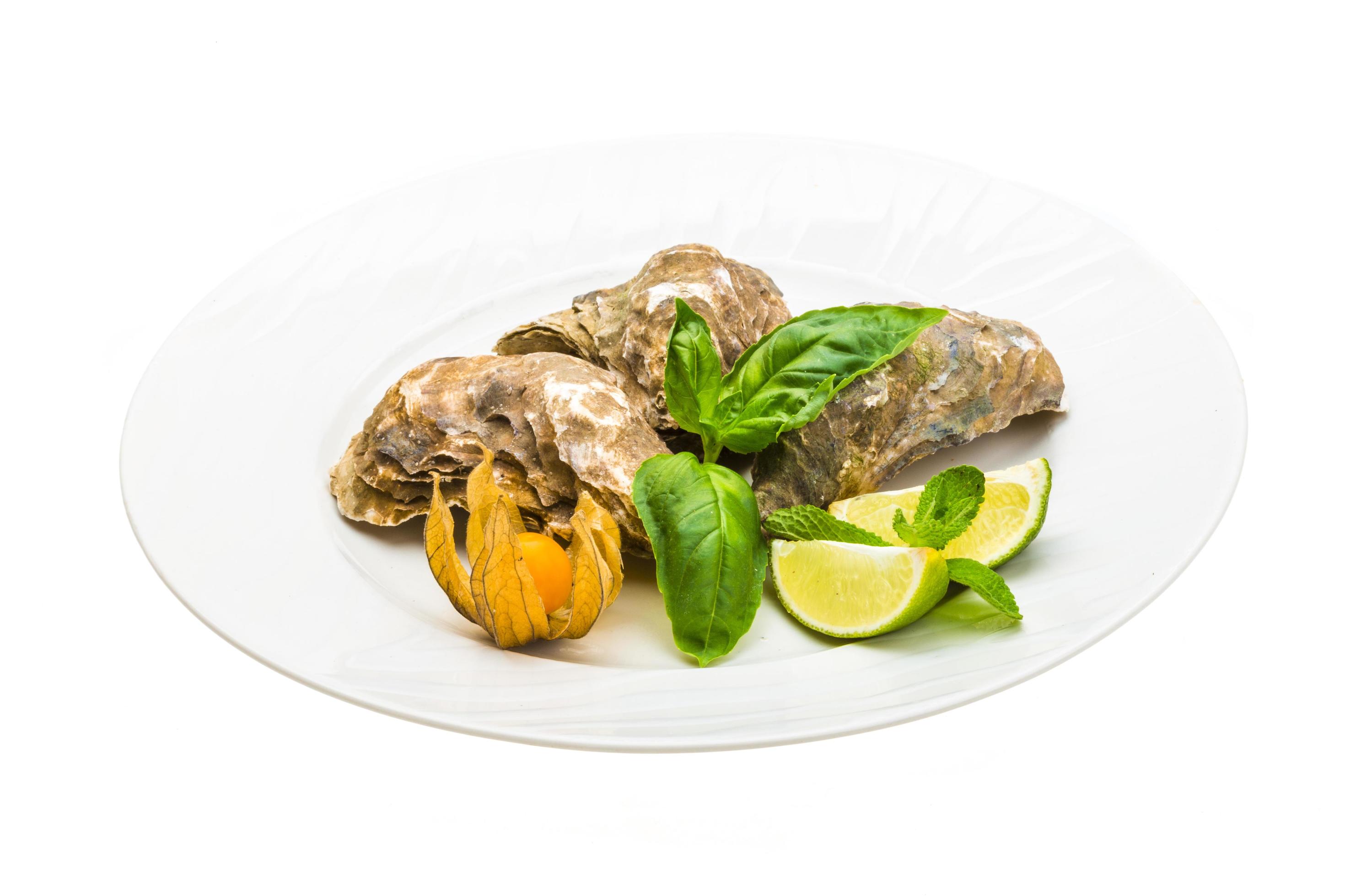 Fresh oyster on the plate and white background 12470249 Stock Photo at