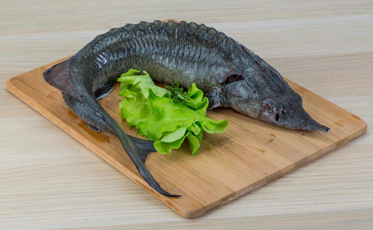 Raw strugeon on wooden board and wooden background photo