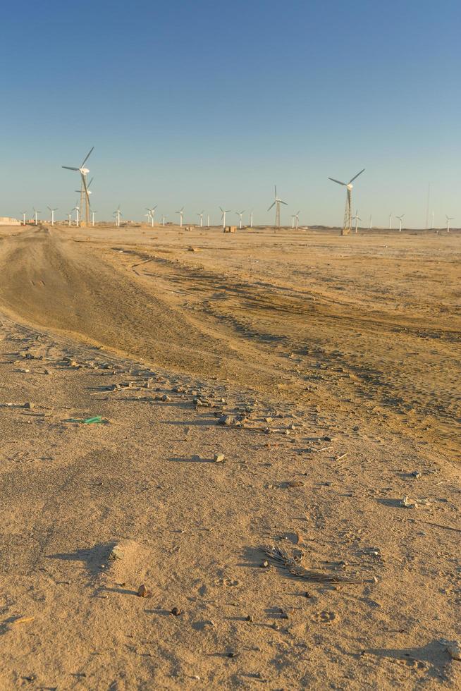 Wind farm landscape view photo