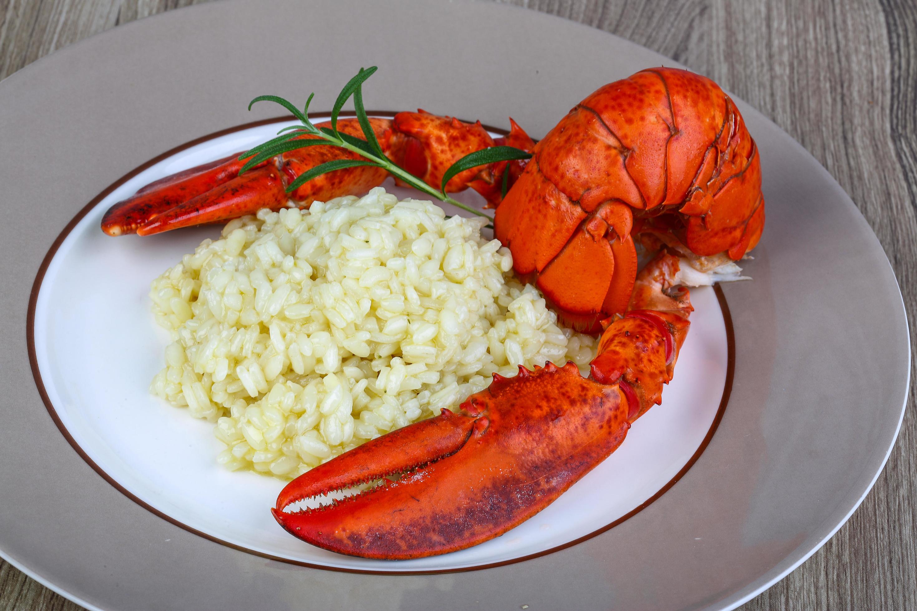 Risotto with lobster 12473900 Stock Photo at Vecteezy