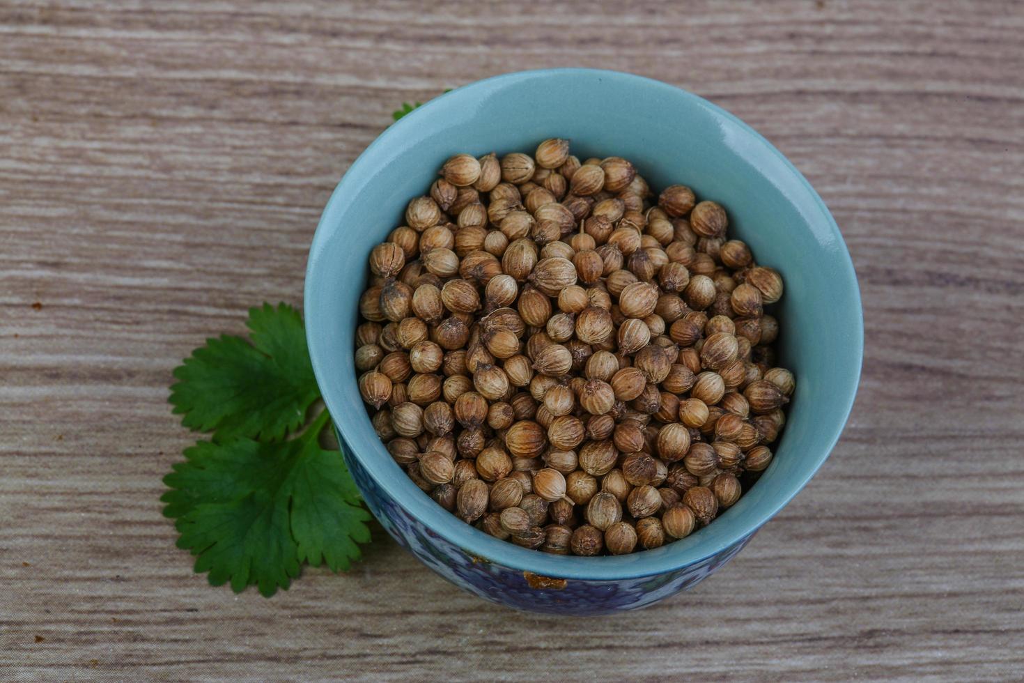 semillas de cilantro en un recipiente sobre fondo de madera foto