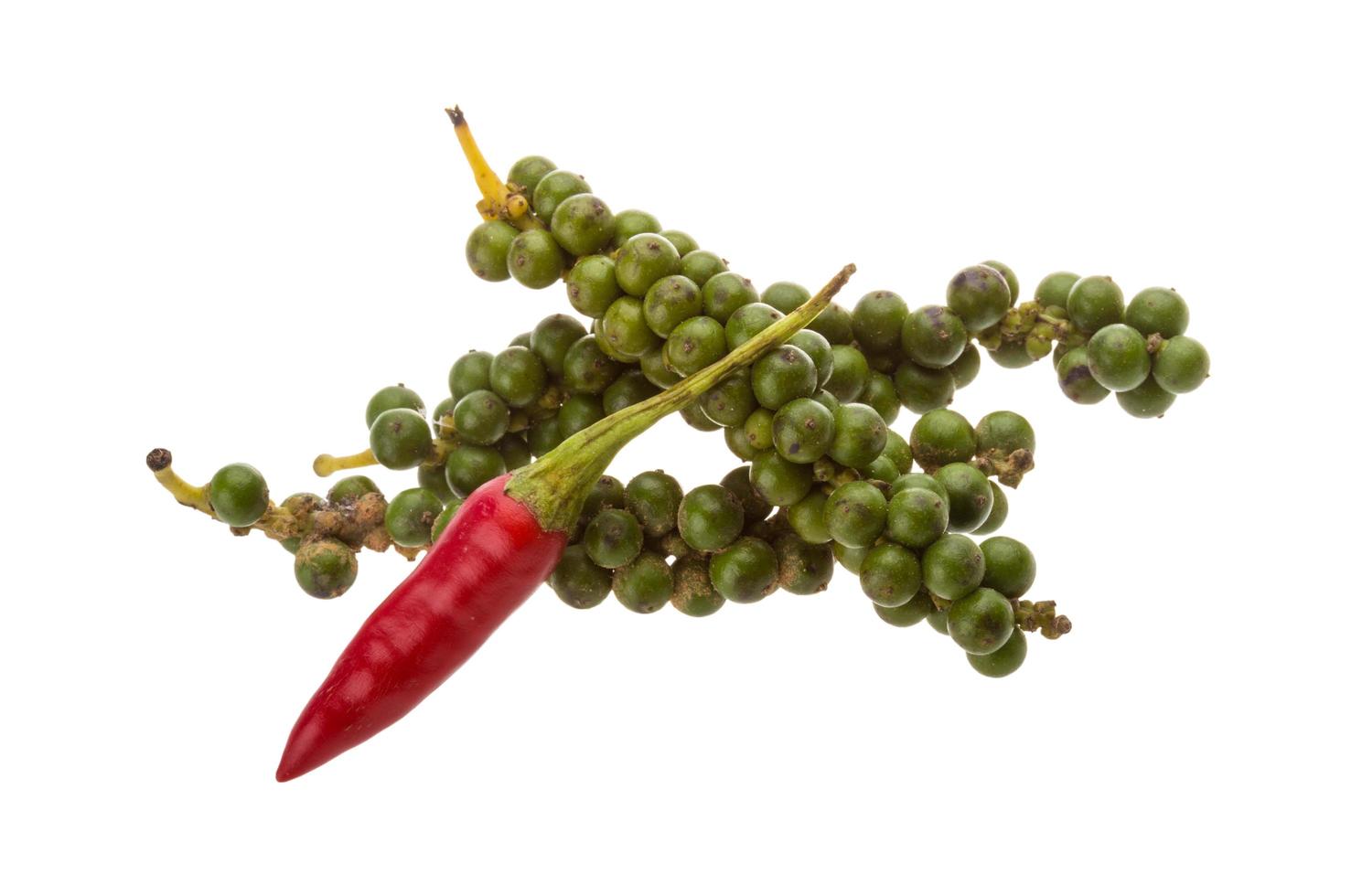 Kampot pepper on white background photo