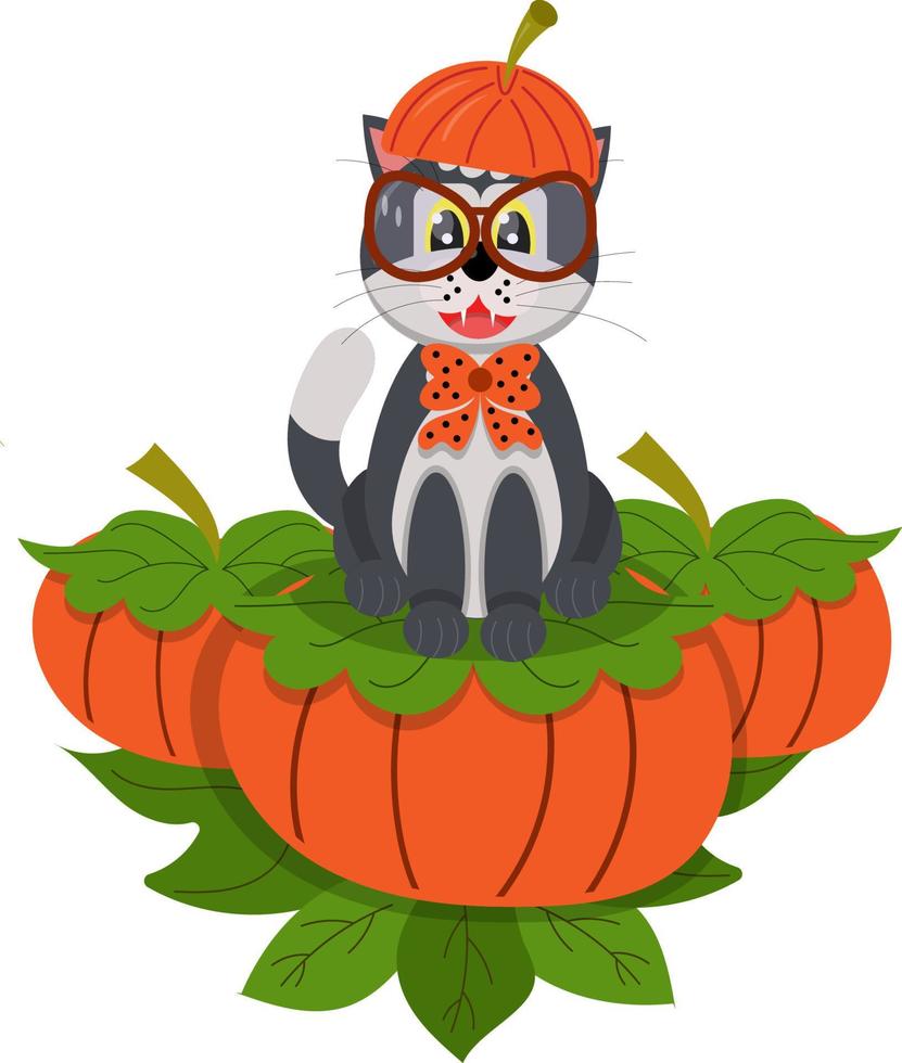 A cute cat in glasses and a hat in the form of a pumpkin sits on pumpkins. Halloween holiday. Vector illustration.