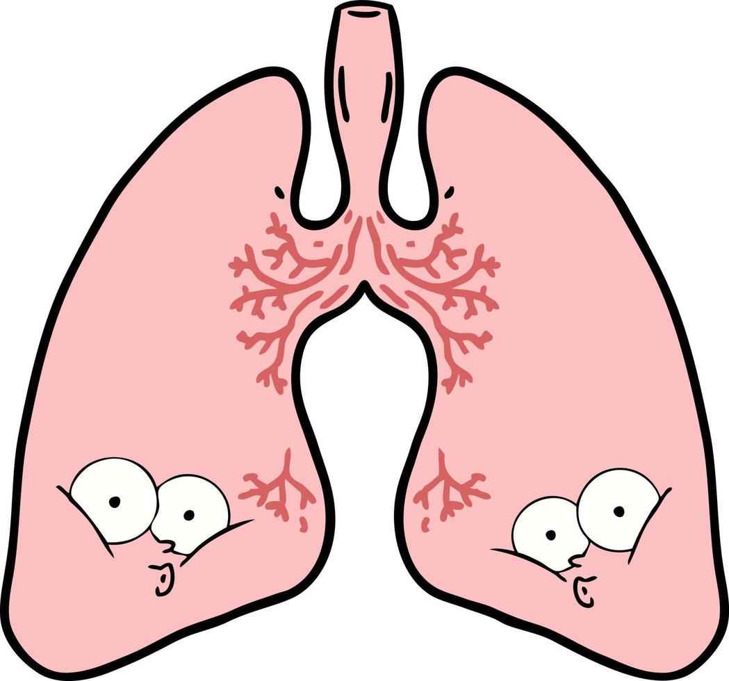 pulmones de dibujos animados de vector