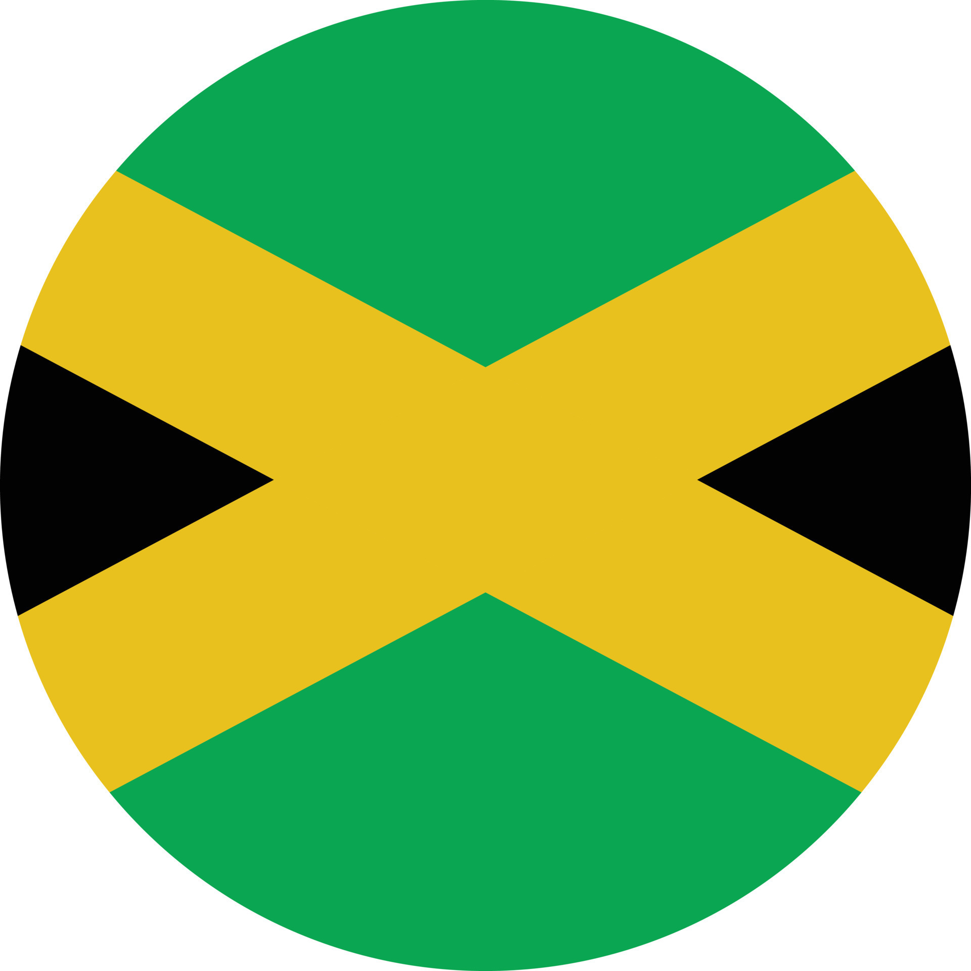 Jamaica icon circle on white background. Jamaica flag button. flat